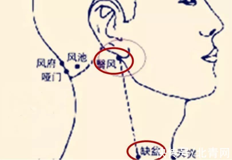 高骨|记住“2条筋”，至少可调37种疾病