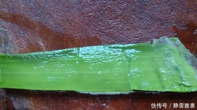 10年芦荟老桩，做成盆景超级好看，观赏价值特别高