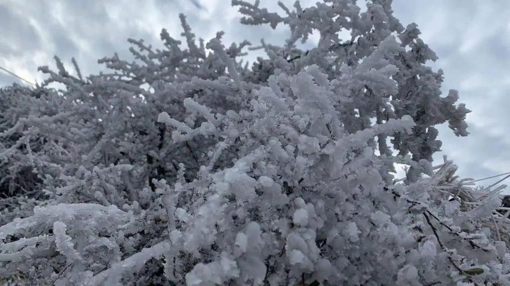 下雪天，凯里小高山的风景好美哦！