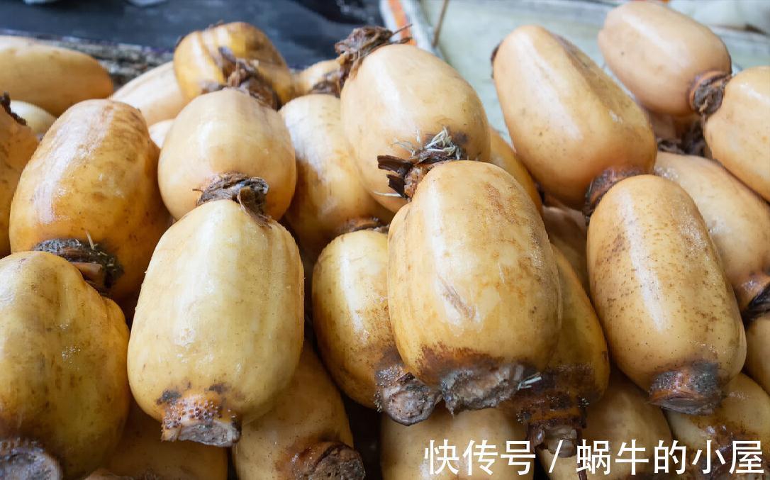 买莲藕时,挑“7孔藕”还是“9孔藕”?挖藕师傅:挑错口感差很多