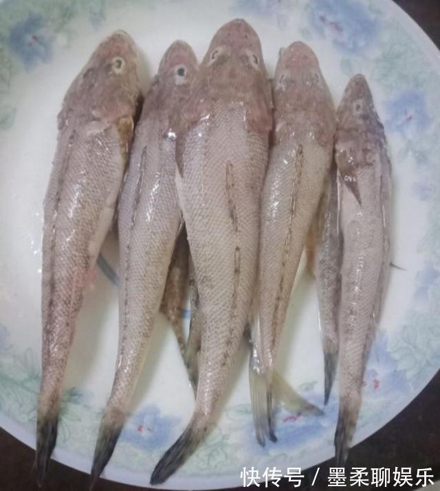 孩子|天然“补脑菜”找到了,孩子多吃,提高记忆力,学习考试都轻松