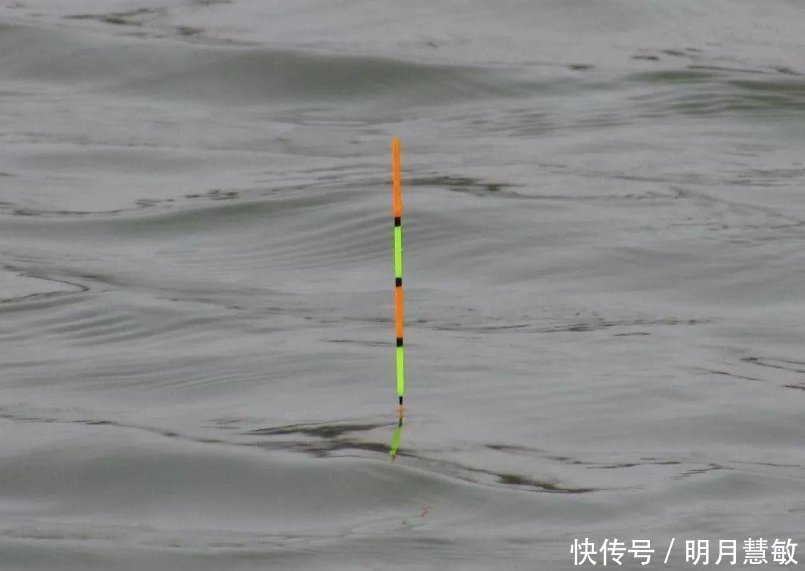 钓鱼|钓浮其实不简单,钓鱼老司机浅谈钓浮调漂技巧,快来学学