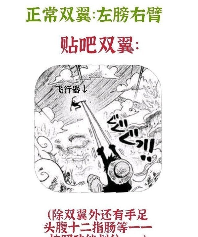 布鲁克|海贼王1020话：尾田重申山治的定位为“双翼”，这次粉丝不买账了