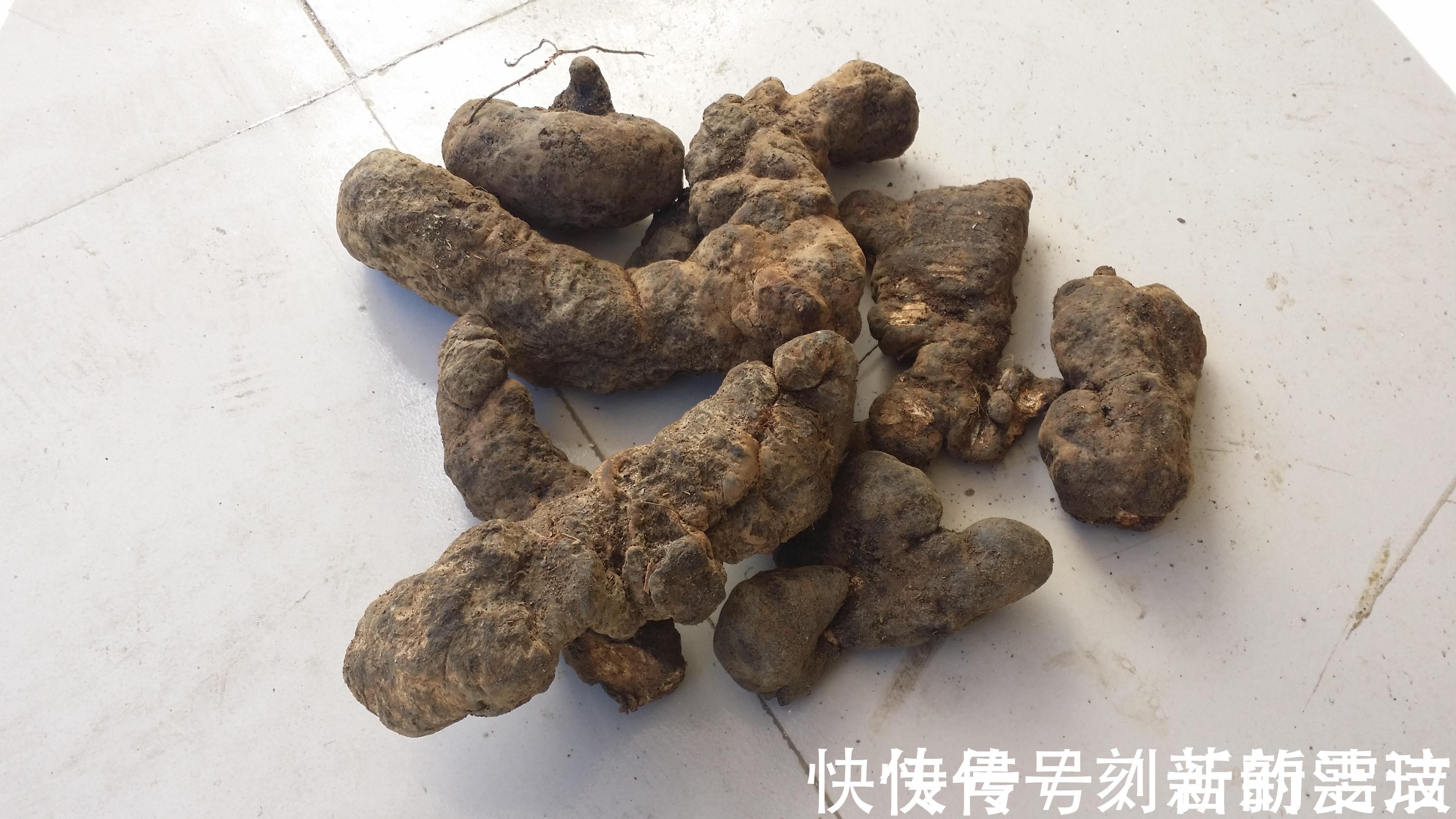 药方|急慢性肾炎、下半身水肿、湿气过重,张仲景的这个药方或可缓解