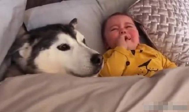 排便|孩子啥时候最难带这8个常见的问题,1岁前几乎所有孩子都有