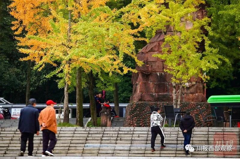 晒秋|晒秋再一波！名山、荥经、雨城都“换装”了