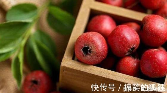 苦苣根|又被称为血管“清道夫”,每天吃一点,血管干净了,血栓消失了