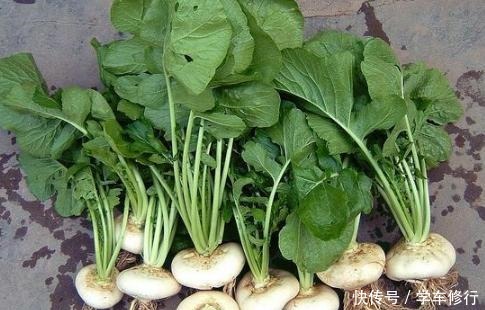 它常被误认成萝卜,我国盛产却没老外吃得多,做成泡菜清香脆甜!