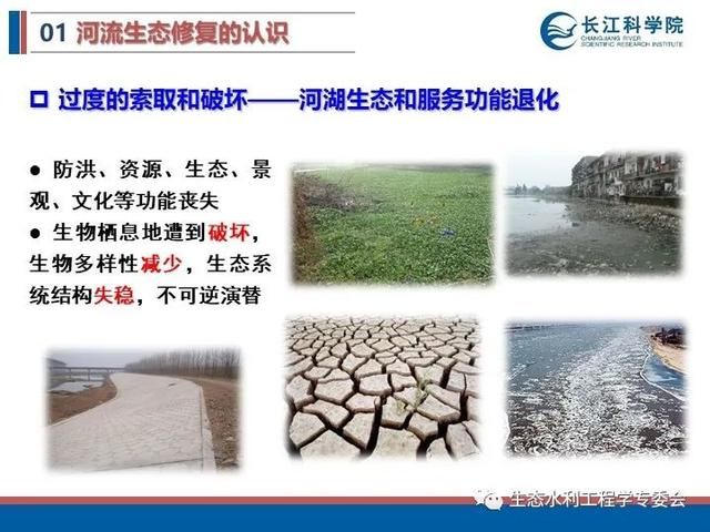 河流|「专家视角」许继军：河流生态修复理念、技术与实践