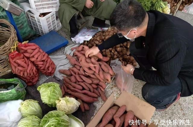 塑料纸|保存红薯有妙招，教你2个小方法，红薯不烂不长芽，越放越香甜！