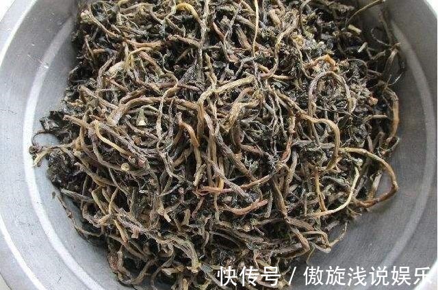 长寿菜|小小马齿笕,功效可不少,五脏俱全的长寿菜,城里人想吃都难买