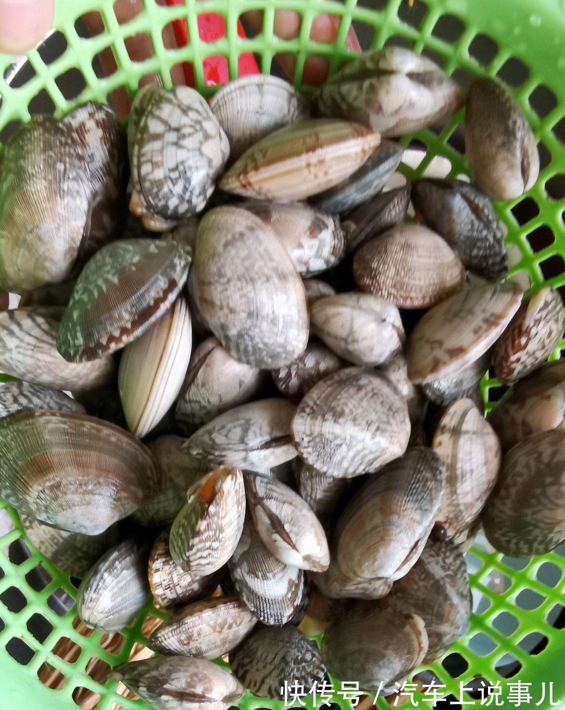 酸菜|满分快手菜，酸辣花蛤，美味好吃