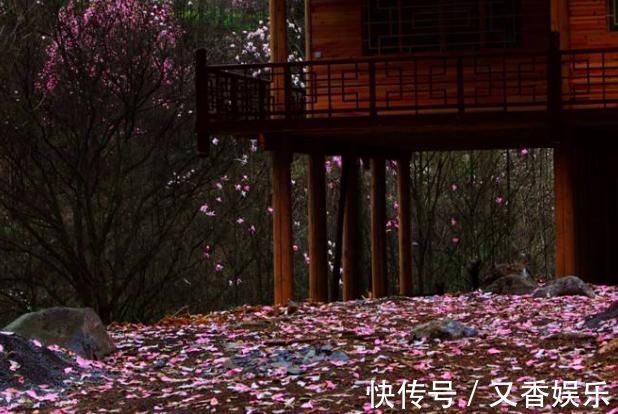 菜根谭&王维的这首诗,凄美至极,短短20字,从花开写到花落