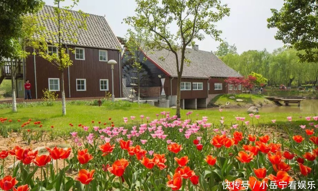 南京的赏花圣地，十万郁金香齐艳，人气不输青枫公园，门票还免费