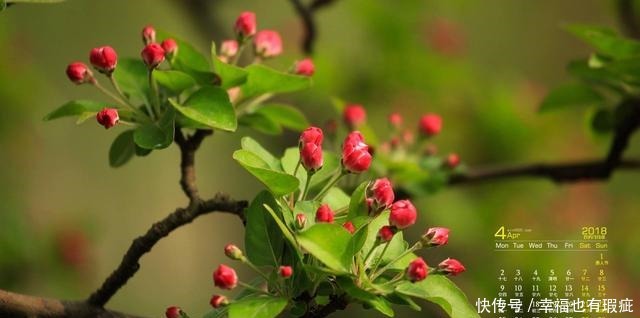 回到|元好问晚年回到故乡,写给儿孙一首诗,指出了人世间最好的教养