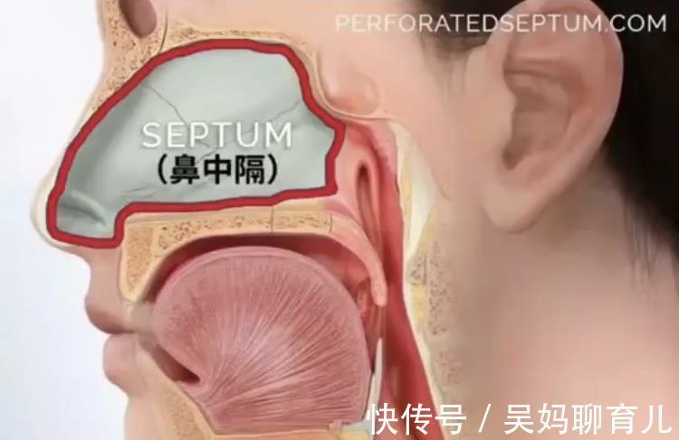 生理盐水|给宝宝生理盐水喷鼻,你做对了吗?