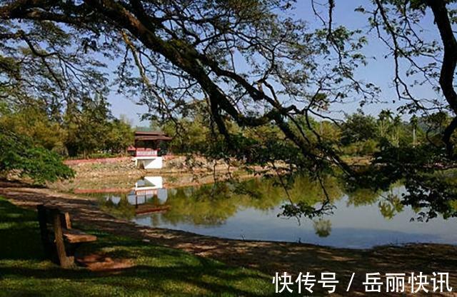 林斤澜#老舍跳湖前,在公园湖边坐了整整一天,是什么让他最终决定去死