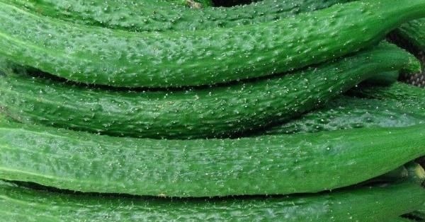 胶质|黄瓜千万不要和这4种食物一起吃,后果很严重,赶紧告诉家里人