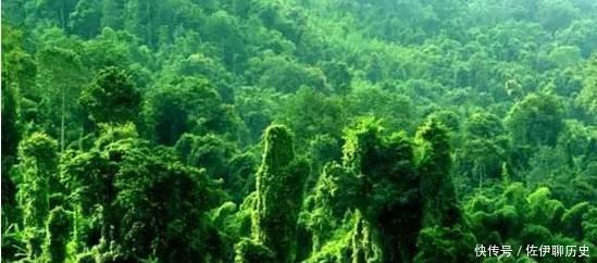 越南|曾经盛极一时的元朝大军,为什么会在越南遭遇了“滑铁卢”