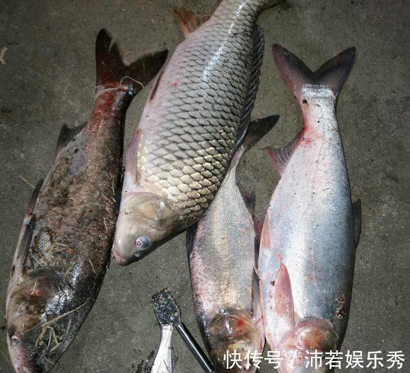 男子|洪水淹没院子,却游来一群鱼,男子:一屋家具换一车鱼