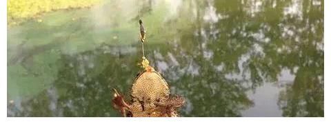 除了钓不到鱼，啥都能钓到！盘点那些年钓到过的奇葩物