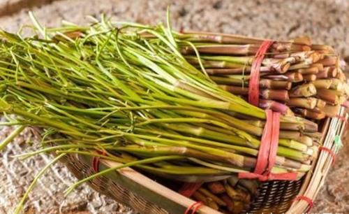 黄青椒|女性不想成黄脸婆，立秋后半个月要学会吃3种食物，排毒养颜