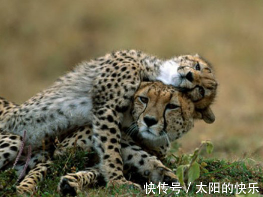 |笑话段子:逗逼老公另类解释拿得起放得下……