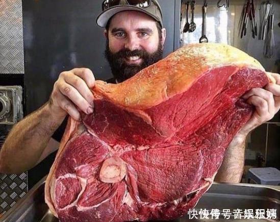 小时候看猫和老鼠以为是搞笑的,长大了才知道这些都是真的