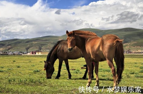 马人|属马人今明后3天不要去这些地方，老人说的话不假！