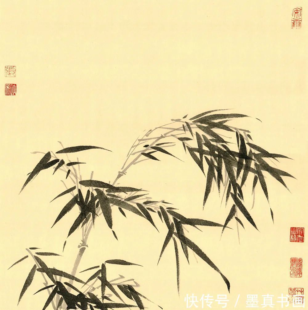 墨竹谱|「张楠」|丹青追梦 水墨本色-中国当代书画名家个人云展览