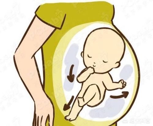 血糖升高|孕6个月,坐着吃饭总感觉胎动,是压住宝宝了吗?