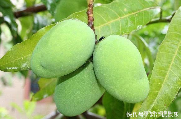 维生素b1|想长寿全靠吃,4种食物离不开,补充营养、滋阴养肾,越吃越健康