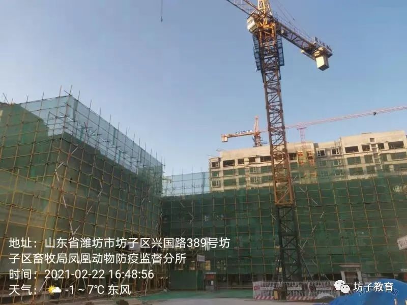 起步就是冲刺！坊子区学校建设项目全面复工！|教育动态 | a743