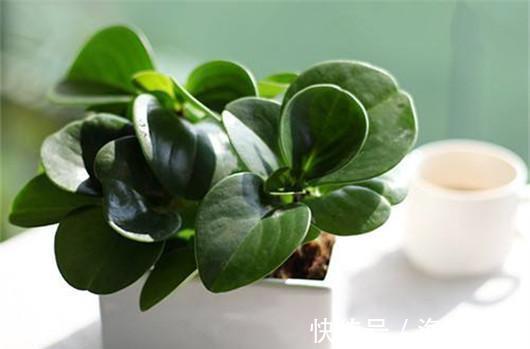 还在按天给花浇水？那你的花离死不远了