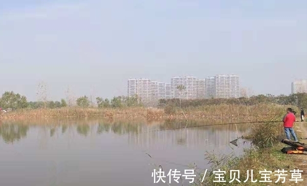 冬季钓鱼,动态诱鱼不可少,想收获大板鲫,试试民间这些特色钓法