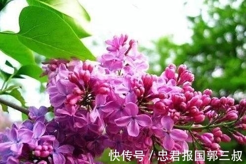 火花|未来2周起，红鸾垂爱，无奈分开，3星座旧情再泛火花，幸福回身