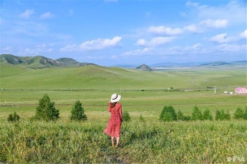 花海如梦幻泡影，感觉走进了梵高的一幅油画里