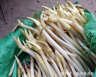 女孩子|农村池塘里边不起眼的它,女孩子最喜欢吃了,滋补又能减肥消脂