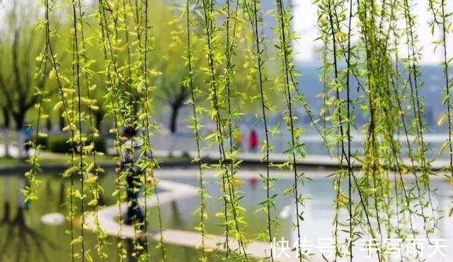 绝句!落选《唐诗三百首》最著名的20首诗,清明、赠汪伦、鸟鸣涧在其中