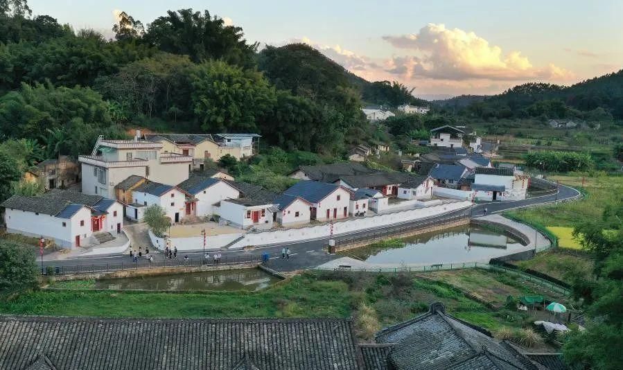 拉风!最强农机迎亲队:插秧机+收割机+旋耕机!