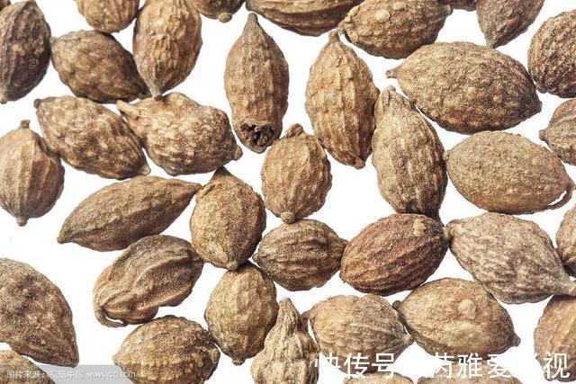 何首乌|妇科炎症难消？别慌，晨起常喝4种水，子宫慢慢变好