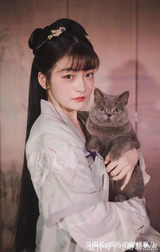 天下|四本历史爽文,救民于水火之中,重征天下,历史总是胜利者的!