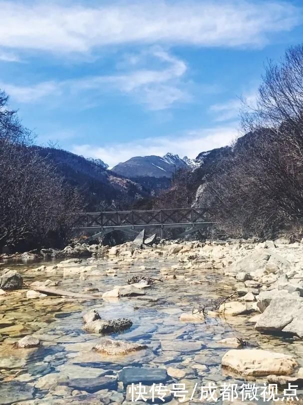 在这片土地上奔跑，和它们一起回到童年时光