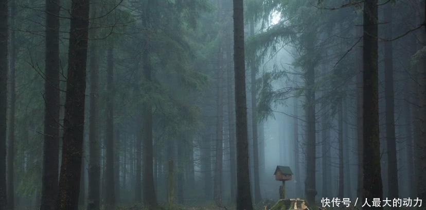 乡村|美图欣赏之中国乡村的美好图景