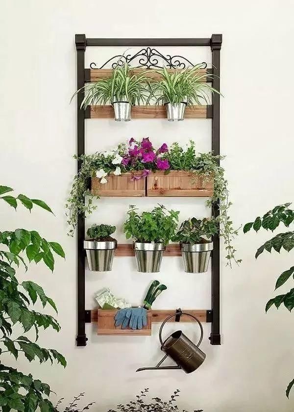 阳台太小，花种不下？不，可以种...