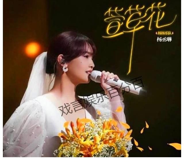 《闪光的乐队》杨坤口碑炸裂,杨丞琳婚纱表演,破防无数观众
