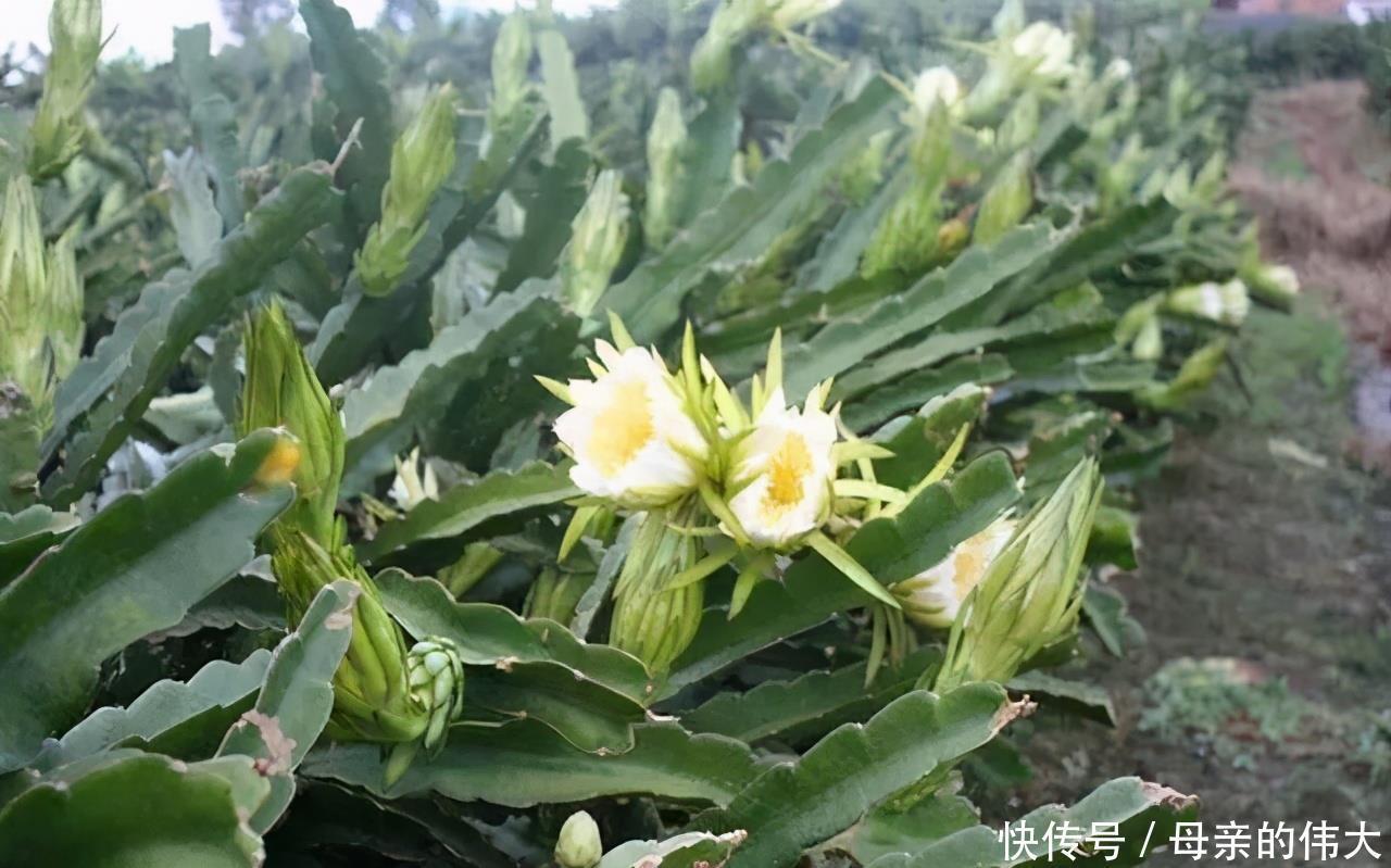 冬天過后,適合常吃3種食物,潤腸通便,降壓減脂,好處多多