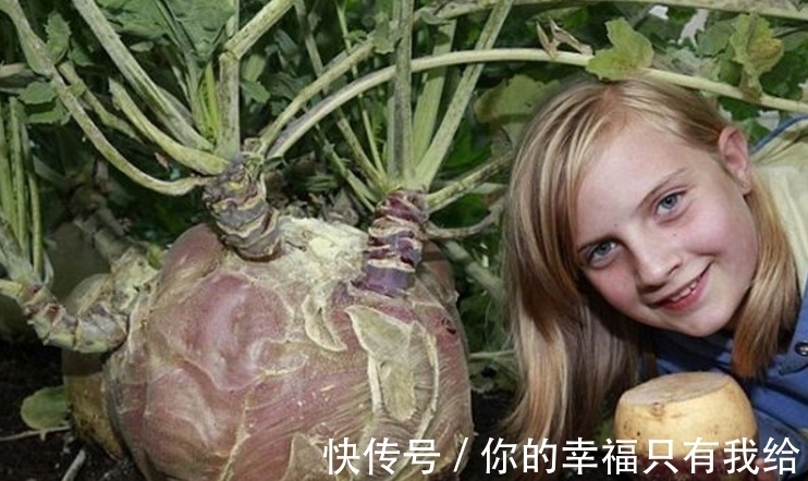 美国神秘的巨菜谷，这里种的蔬菜比人还大？科学家在地下找到元凶