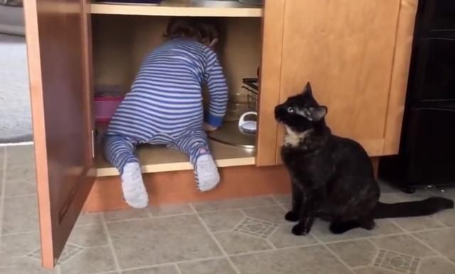 耳朵大有福|宝宝身上这四个部位越大越“有福”,长大之后有差距,对照一下吧