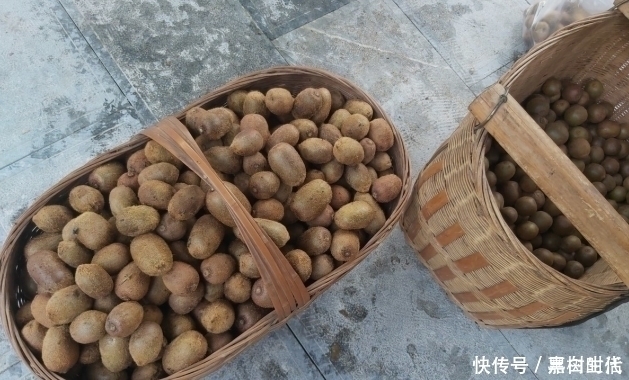 医生|医生提醒:血压高的人,除了盐,还要警惕“3素”,越吃血压越高